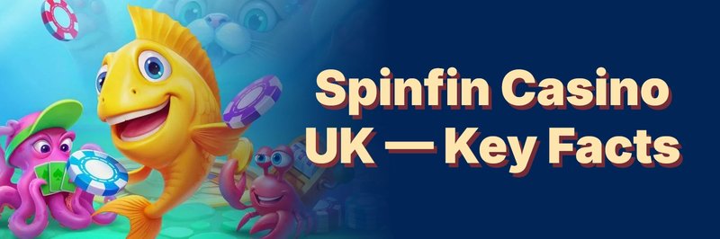 spinfin.jpg